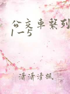 公交车系列合集1一5