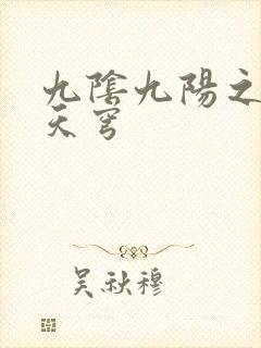 九阴九阳之武战天穹