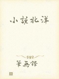 小说北洋