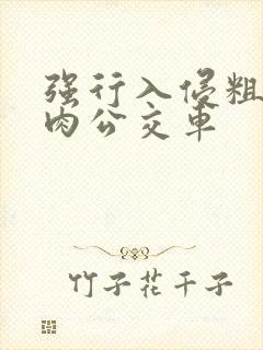 强行入侵粗暴h肉公交车