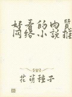 好看的肉质高的网络小说推荐