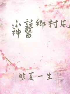 小说乡村风流小神医