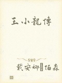王小龙传