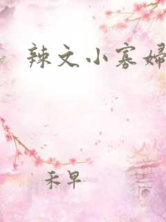 辣文小寡妇