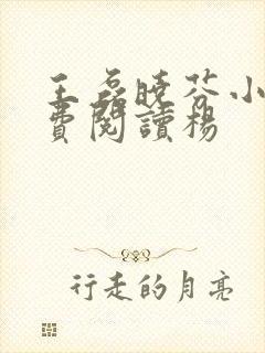 王磊晓芬小说免费阅读杨