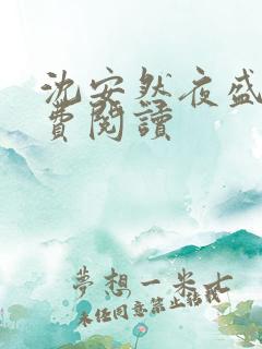 沈安然夜盛霆免费阅读