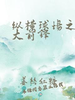 纵横球场之暴力大前锋