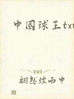 中国球王txt