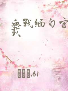 血战缅甸官方下载