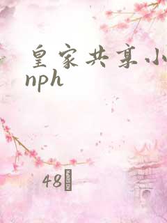 皇家共享小公主nph
