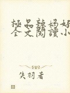 极品辣妈好v5全文阅读小说