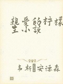 亲爱的柠檬精先生小说