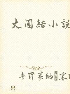 大团结小说下载