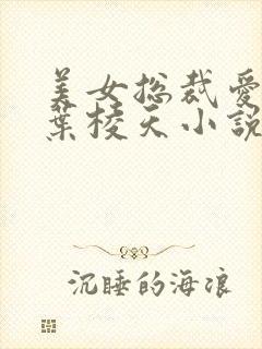 美女总裁爱上我叶棱天小说