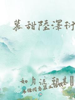 慕甜陆泽衍小说