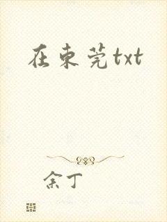 在东莞txt