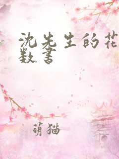 沈先生的花式调数书