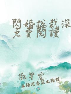 闪婚总裁深深宠免费阅读