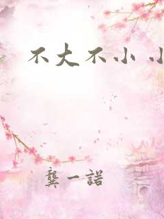 不大不小 小说