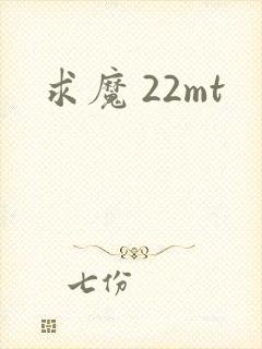 求魔 22mt
