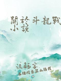 关于斗龙战士的小说