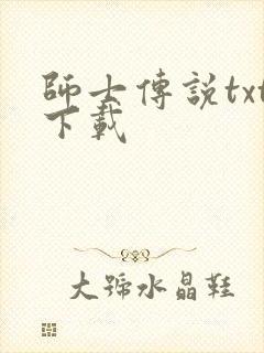 师士传说txt下载