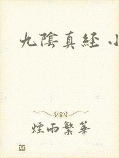 九阴真经 小说