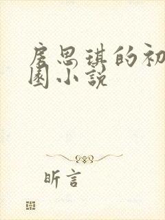 房思琪的初恋乐园小说