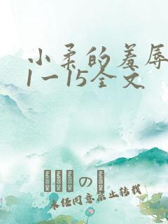 小柔的羞辱日记1一15全文
