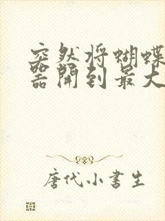 突然将蝴蝶遥控器开到最大