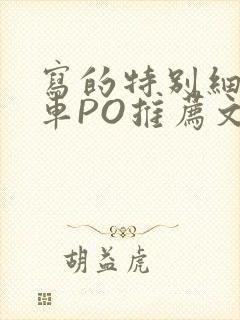 写的特别细的开车PO推荐文多人