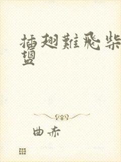 插翅难飞柴米油盐