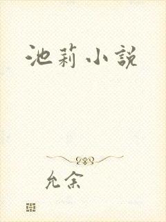 池莉小说