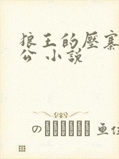 狼王的压寨小相公 小说