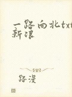 一路向北txt新浪