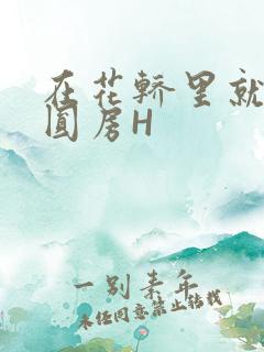 在花轿里就开始圆房H