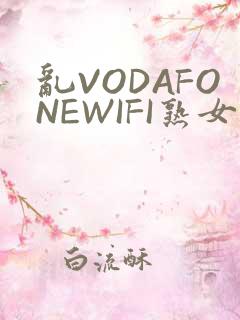 乱VODAFONEWIFI熟女