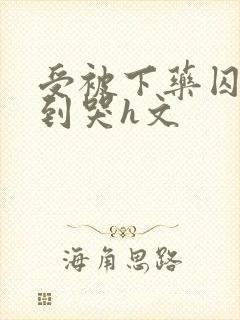 受被下药囚禁脔到哭h文