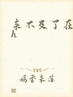 来不及了在车ch