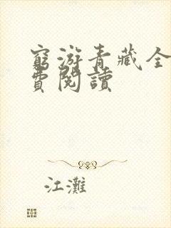 穷游青藏全文免费阅读