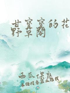 甘宝宝的花苞澜野草阁