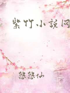 紫竹小说网