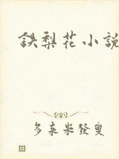 铁梨花小说