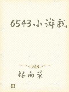 6543小游戏