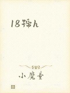 18号h