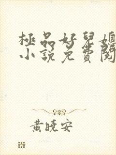 极品好儿媳苏灿小说免费阅读