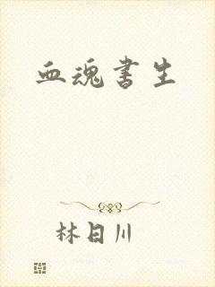 血魂书生