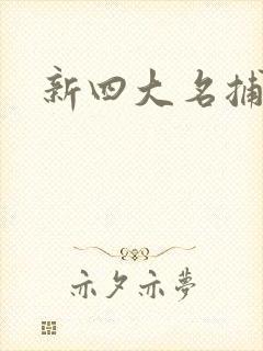 新四大名捕全集