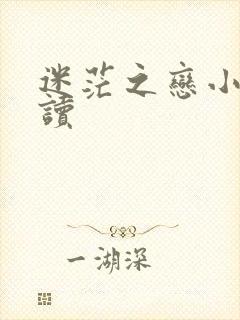 迷茫之恋小说阅读