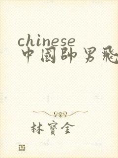 chinese中国帅男飞机